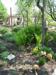 Продам дачу Липецкое направление, с. Веселое.